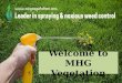 Welcome to mhg vegetation