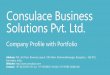 Consulace Business Solutions Company Profile with Porfolio