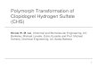Polymorph Transformation of Clopidogrel Hydrogen Sulfate (CHS)