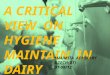 A critical view on hygiene in dairy industry
