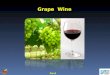 Grape wine  introduction for the class-ok