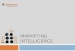 Eleventy Marketing Intelligence presentation