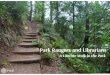 Park Rangers and Public Librarians:  A Literate Walk in the Park
