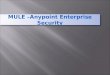 Mule  anypoint enterprise security