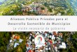Alianzas Público-Privadas para el desarrollo sostenible de municipios