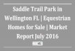 Saddle Trail Park in Wellington FL | Equestrian Homes for Sale | Market Report July 2016