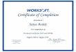 Worksoft Training Certificate_Worksoft certify  for SAP& HTML