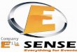 Company profile E-Sense INC