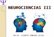 Clases de neurociencias iii 2015 2
