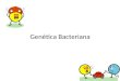 Gentica bacteriana