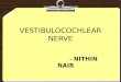 Vestibulocochlear nerve 8