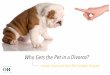 Family Court and Your Pet Custody Dispute: Who Gets the Pet in a Divorce?