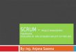 Scrum for Beginners