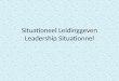 Situationeel Leadership Internal Company education