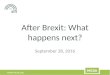 After Brexit: What Happens Next?