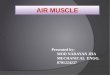 Pneumatic Air Muscles