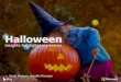 Halloween Insights for Digital Marketers 2016