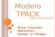 Modelo TPACK- Marchiori Rocio