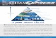 Is your steam clean?