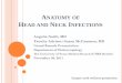 Anatomy of Head and Neck Infections - utmb.edu