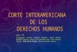 Corte interamericana de los derechos humanos ;703