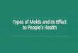 Harmful Effects of Molds to People's Health