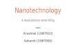 Nanotechnology Application (Physics)