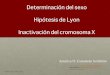 Determinación del sexo e hipótesis de Lyon