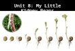 Unit 8: My Little Kidney Beans