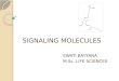 Signaling molecules
