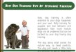 Best Dog Training Tips By Stephanie Taunton