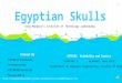 Egyptian skull-presentation