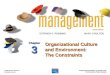 Robbins & Coulter's Management: Chapter Three: Organizational Culture and Environment: The constraints