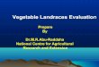 Vegetable Landraces Evaluation in Jordan