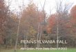 Pennsylvania Fall Photography