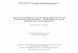 The Formation and Management of Political Identities: Indonesia 