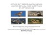 Atlas of Birds, Mammals, Amphibians, and Reptiles in Wyoming