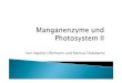 Manganenzyme und Photosystem II