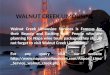 Walnut creek limousine services
