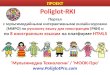 Poliglot-RKI. экспорт МИРО по РКИ (45 м.р.).docx