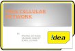 Idea cellular network