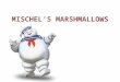 Mischel's marshmallow power point