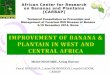 Improvement of Banana and Plantain in West and Central Africa