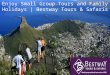 Enjoy Small Group Tours and Family Holidays | Bestway Tours & Safaris