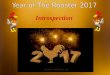 Year of the Rooster 2017 - Introspection