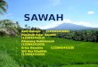 komponen biotik abiotik di Sawah