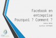 Parlonsdigital : facebook en entreprise