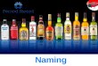 Pernod Ricard Name Development Proposal