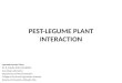 Pest legume plant interaction