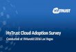 HyTrust Cloud Adoption Survey